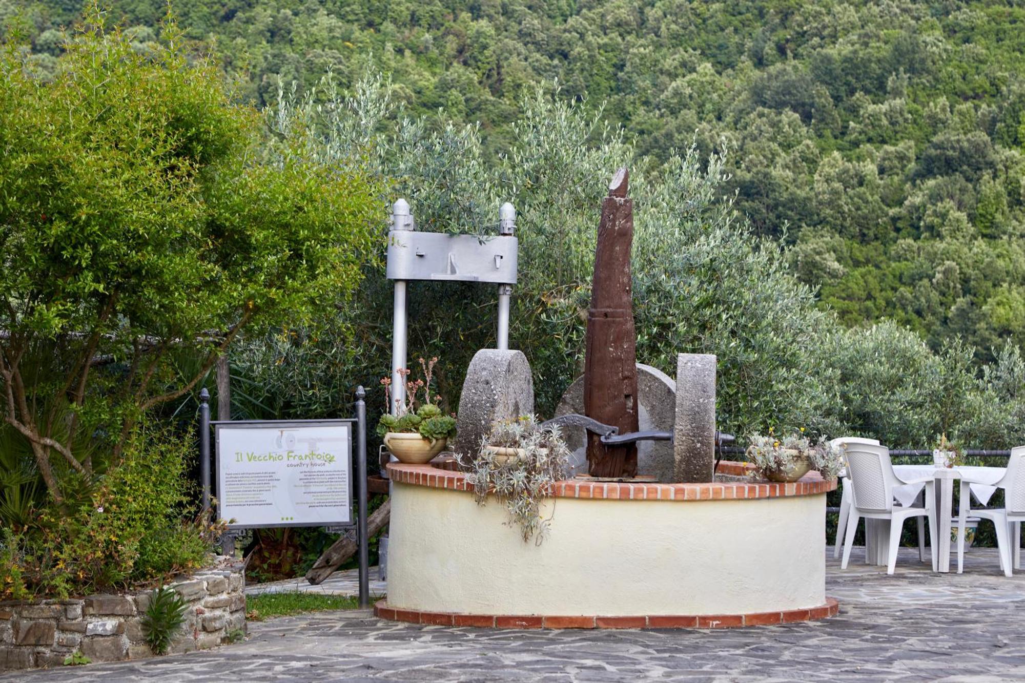Il Vecchio Frantoio Villa Stella Cilento Luaran gambar
