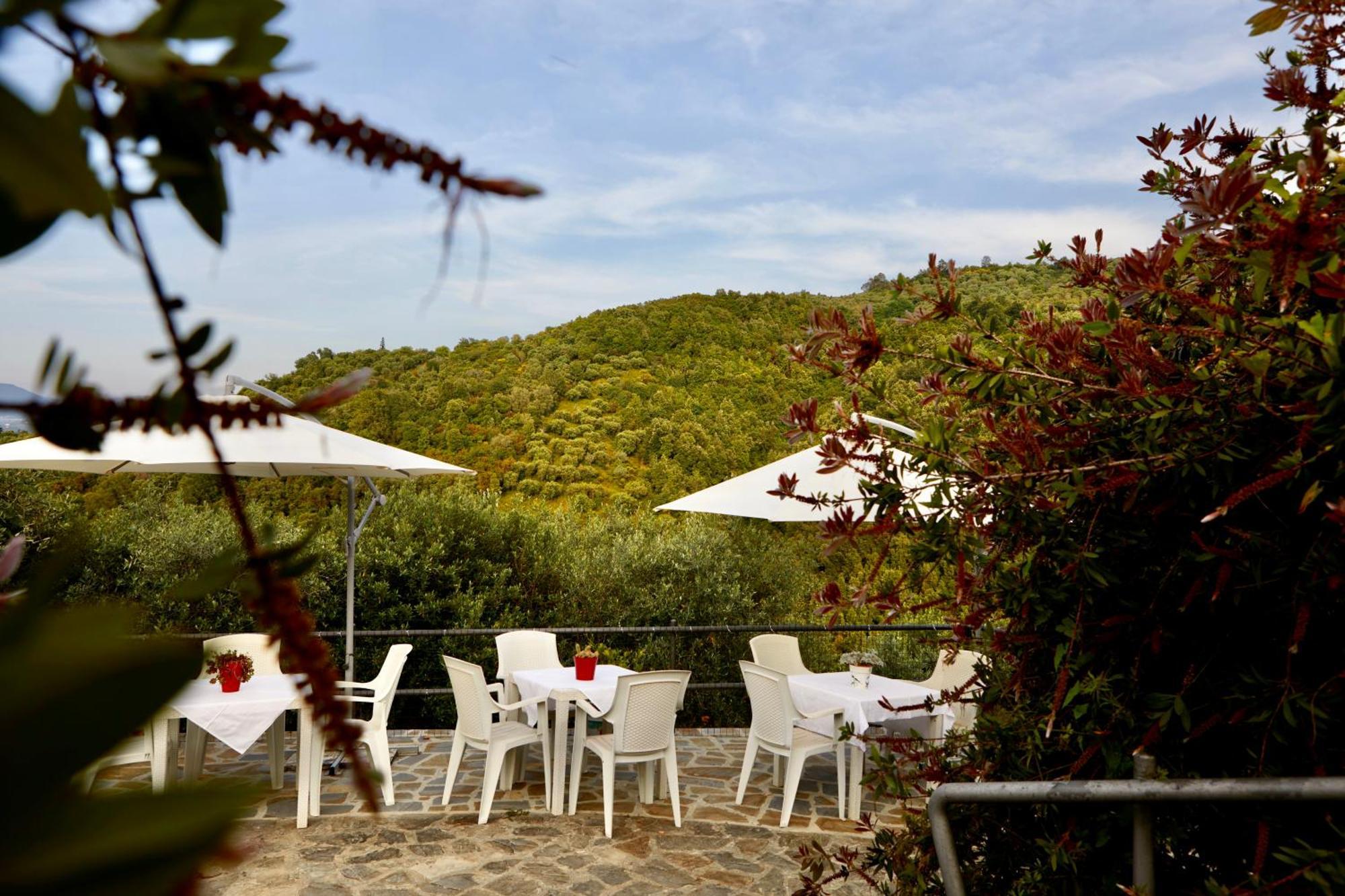 Il Vecchio Frantoio Villa Stella Cilento Luaran gambar