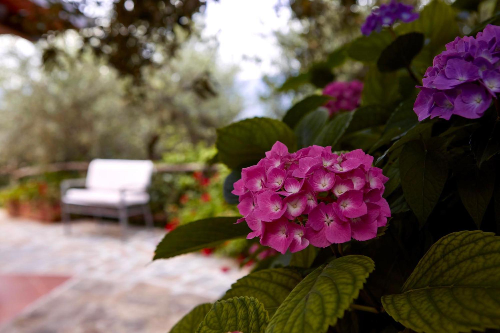Il Vecchio Frantoio Villa Stella Cilento Luaran gambar