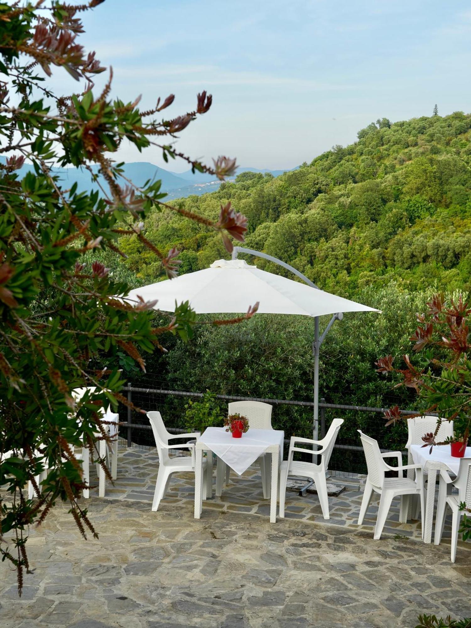 Il Vecchio Frantoio Villa Stella Cilento Luaran gambar