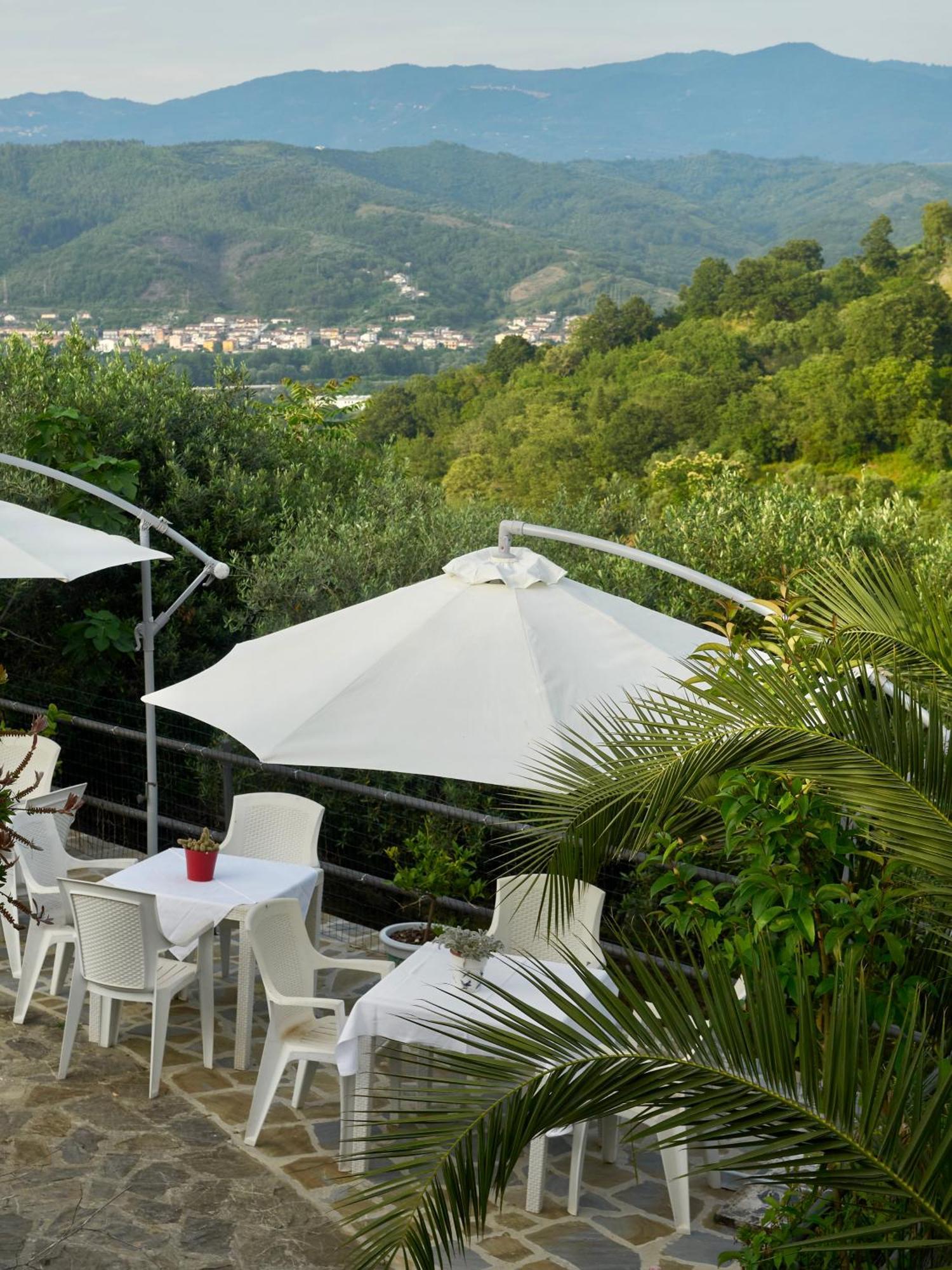 Il Vecchio Frantoio Villa Stella Cilento Luaran gambar