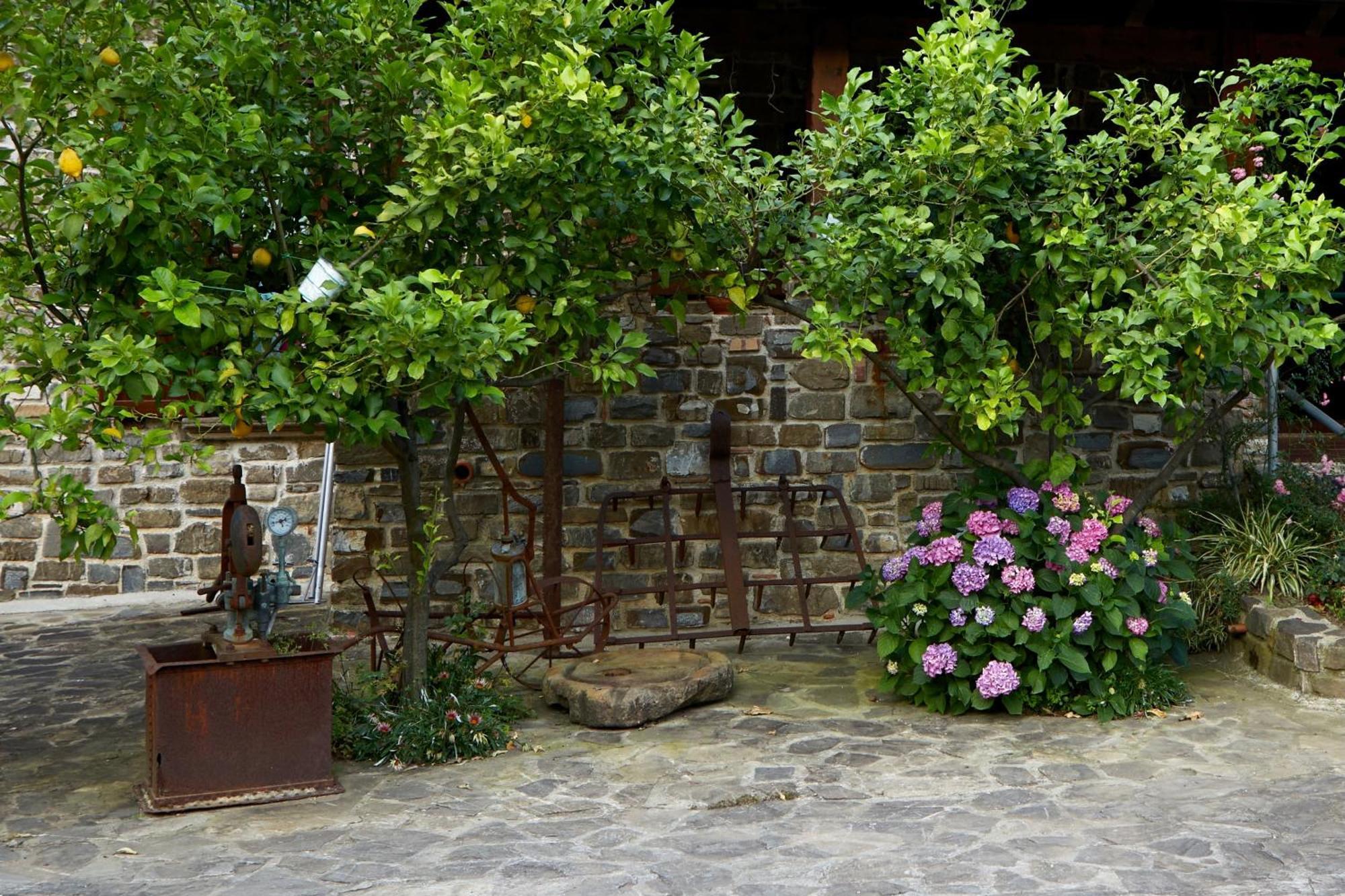 Il Vecchio Frantoio Villa Stella Cilento Luaran gambar